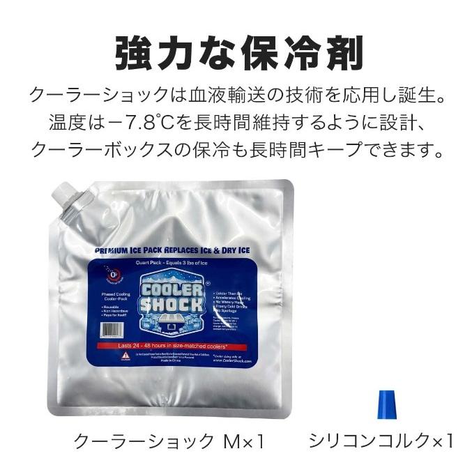 クーラーショック 保冷剤 長時間保冷 強力 単品 Mサイズ｜yye-shop｜02