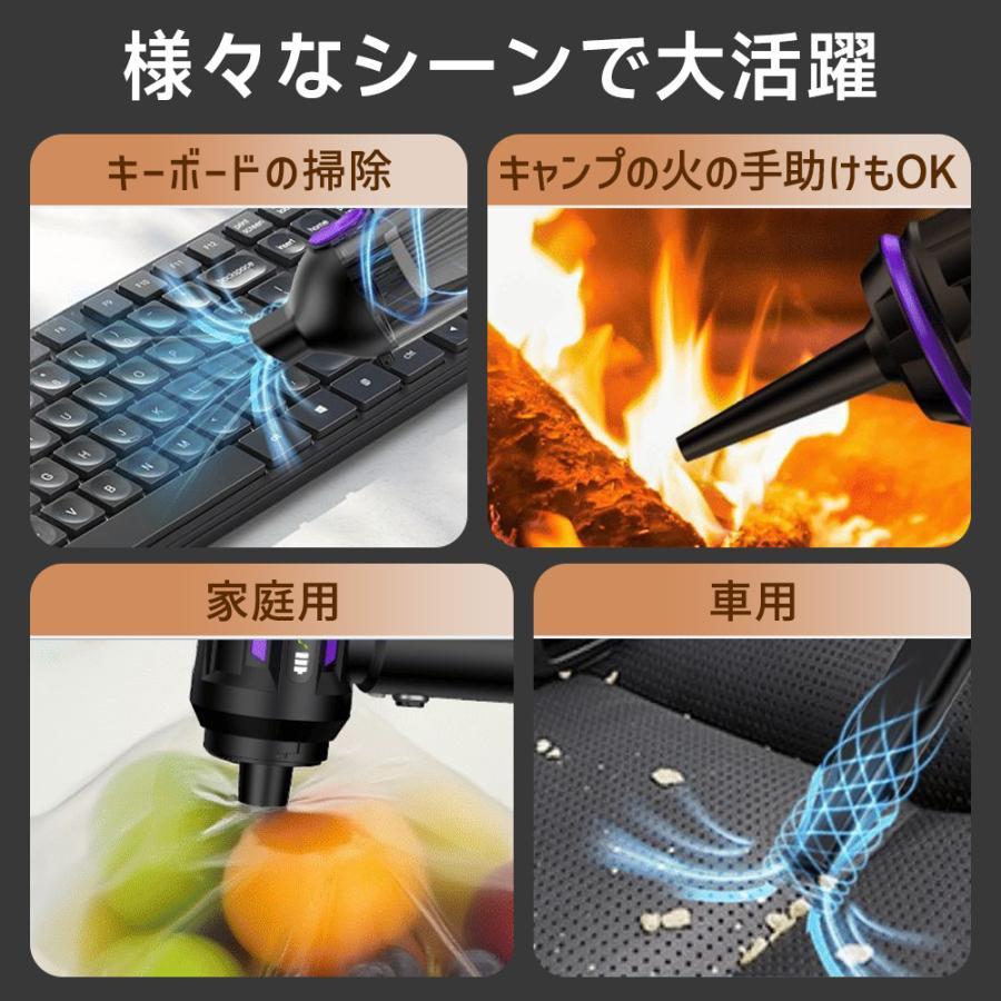 2025新品 進化版】ハンディクリーナー 車用掃除機 1台4役 強力吸引