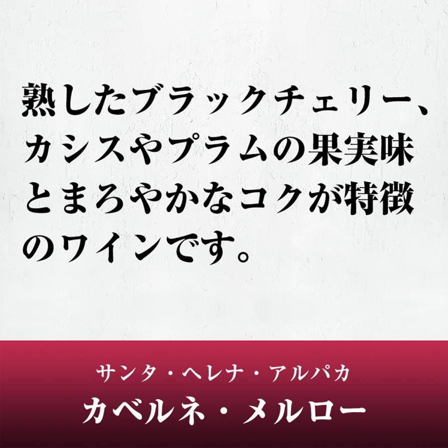 赤ワイン サンタ ヘレナ アルパカ カベルネ メルロー 750ml 1ケース (12本) 送料無料　｜yytakuhaibin-2｜02