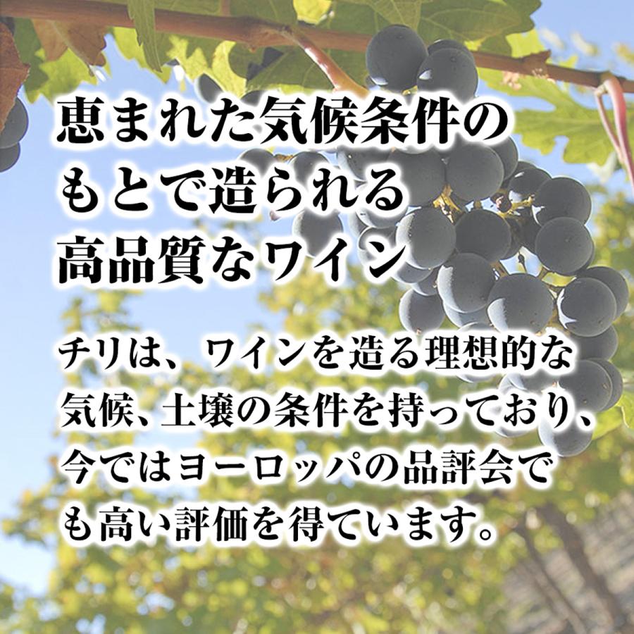 赤ワイン サンタ ヘレナ アルパカ カベルネ メルロー 750ml 1ケース (12本) 送料無料