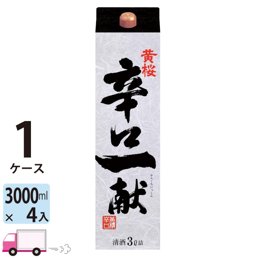 黄桜 辛口一献 3L(3000ml) 4本入 1ケース(4本) 送料無料 : YY卓杯便Z