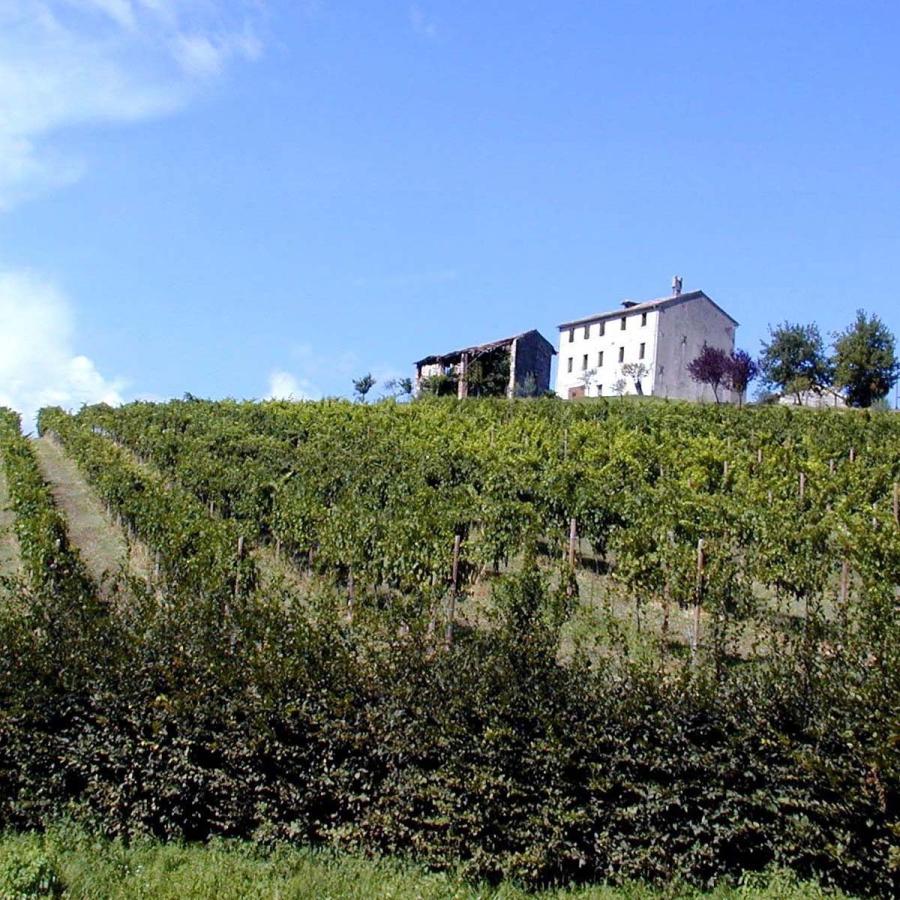 ポイント5倍 モリン プロセッコ スペリオーレ エクストラ ドライ [I711] 1ケース(12本) 送料無料 