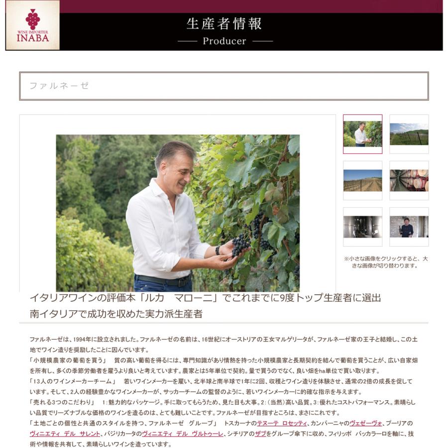 ポイント5倍 エディツィオーネ チンクエ アウトークトニ [I381] 1ケース(12本) 送料無料_7