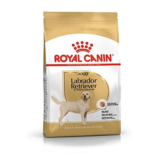 2袋セット】ロイヤルカナンラブラドールレトリバー成犬用