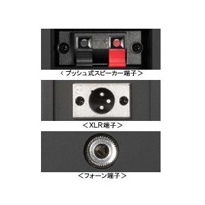 ONKYO 業務用 スピーカーシステム（2台1組） D-PS100(B) ブラック 送料無料（沖縄県を除く）｜yz-office｜03