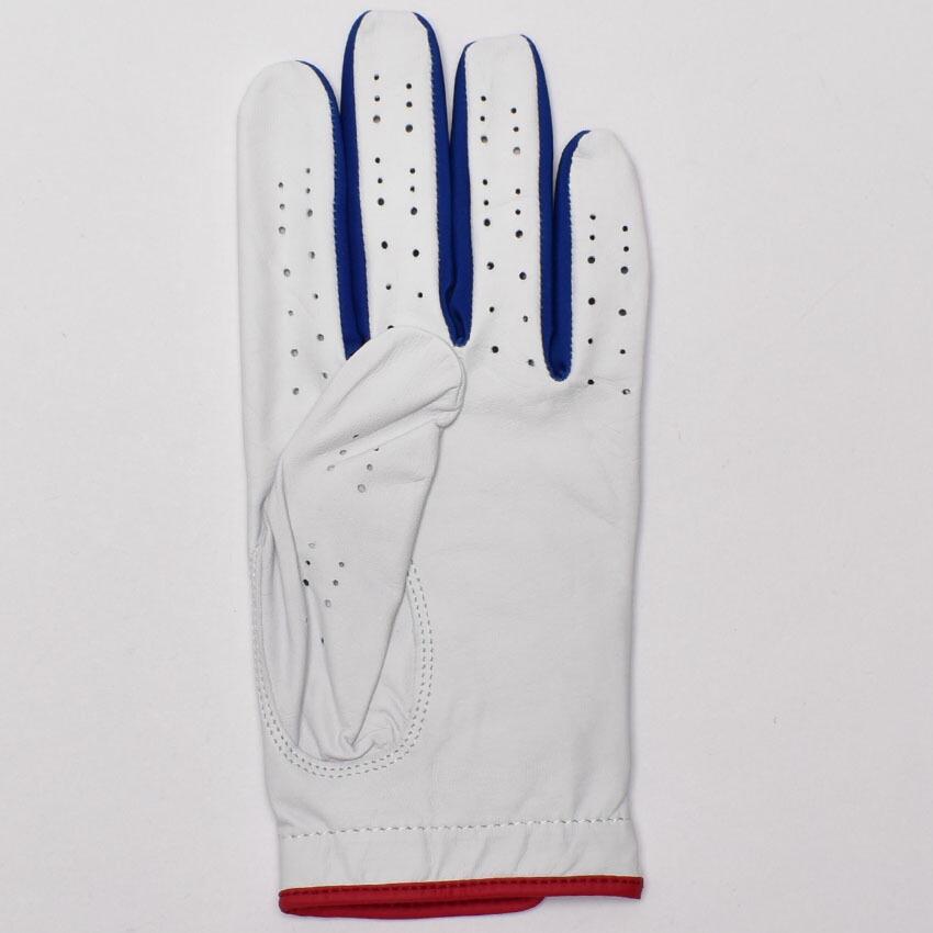 ナイキ ゴルフグローブ メンズ TECH EXTREME GLOVE NIKE N.100.0500