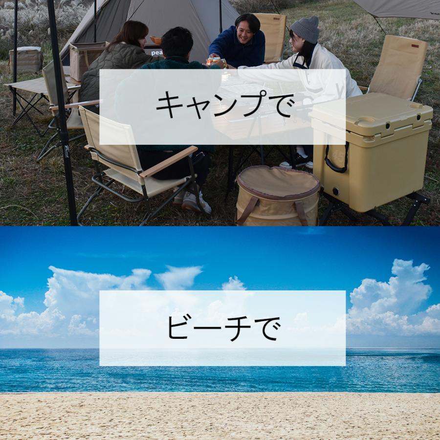 peace park（ピースパーク） （訳あり）ピース パーク クーラー