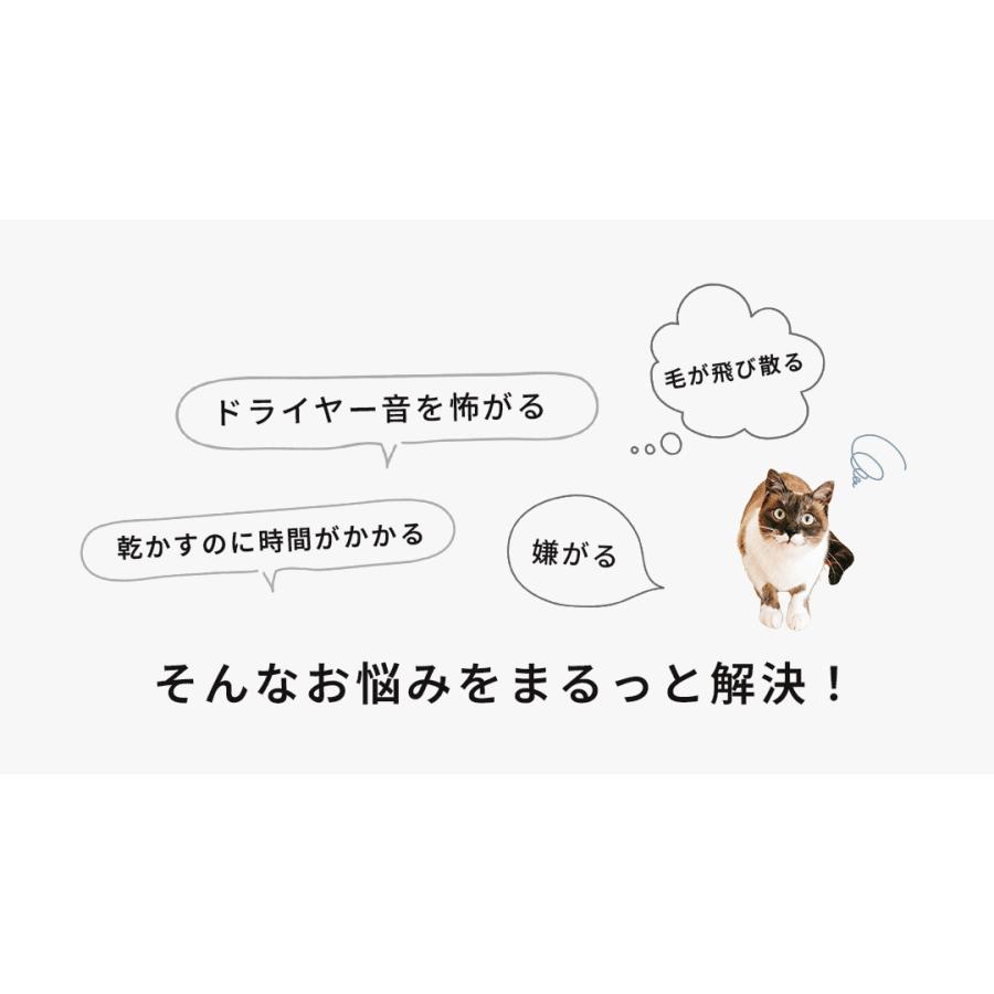 オド カナダ ペット用品 ペットドライヤー ODO CANADA CW-026 ホワイト