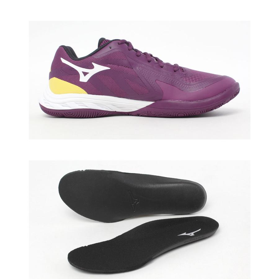 MIZUNO（ミズノ） バドミントンシューズ メンズ レディース ウエーブ