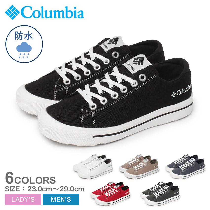 ウォルフプラチナコガネ？　コロンビア産 ウォルフプラチナコガネ？ コロンビア産 - メルカリ