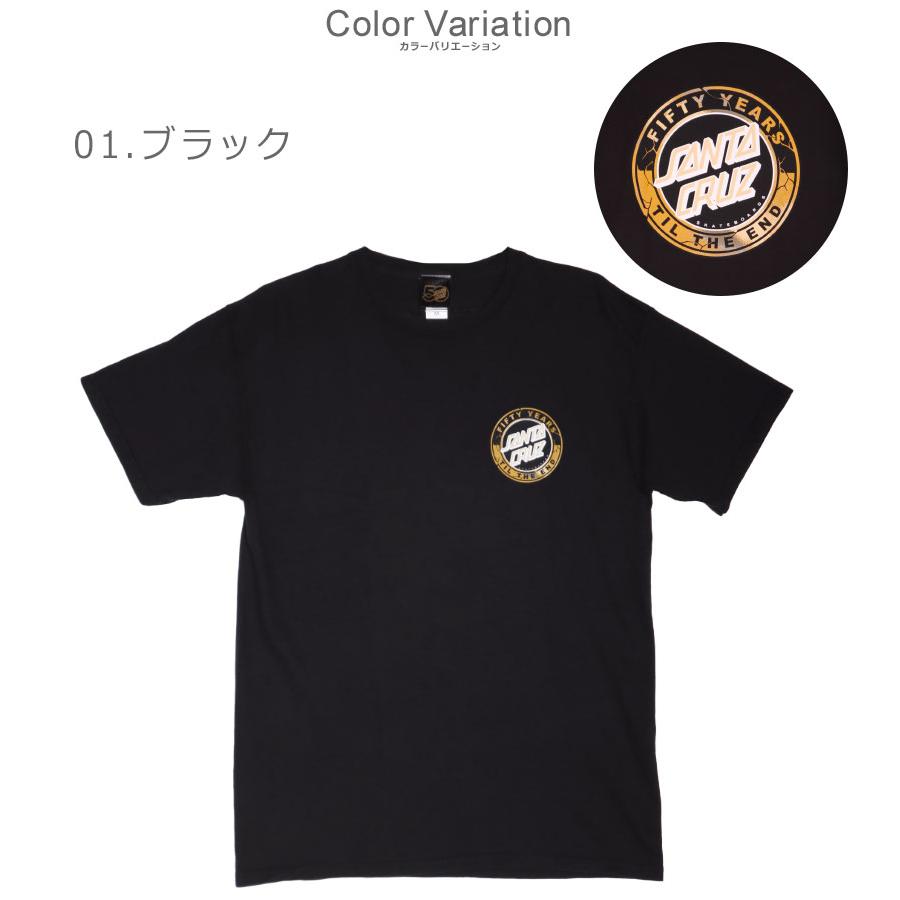SANTA CRUZ（サンタクルーズ） （ネコポス配送） 半袖Tシャツ メンズ
