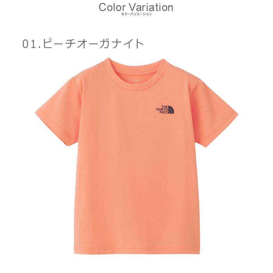 Champion（チャンピオン） （ネコポス配送） ザ・ノース・フェイスT