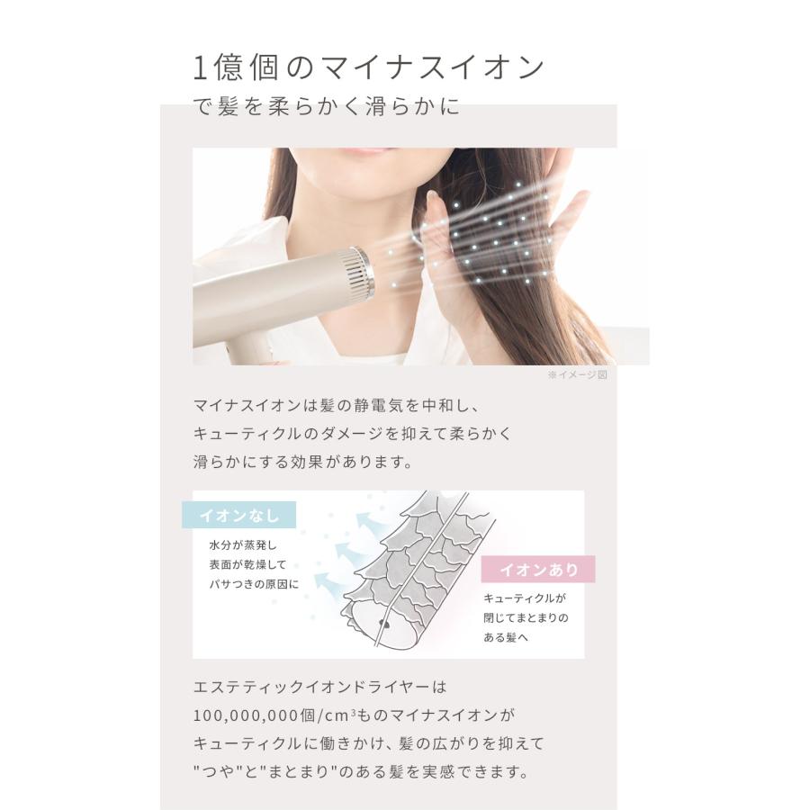 ドライヤー 速乾 大風量 ヘア 軽量 エステティック イオン ANLIETTE AN