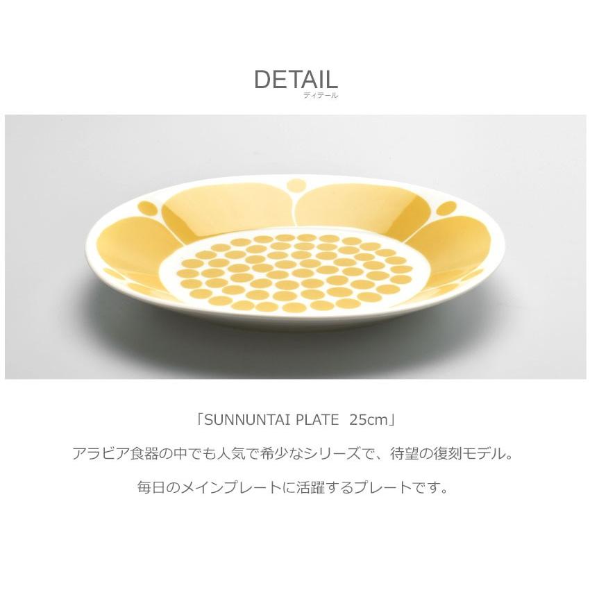 ARABIA Eeva オーバルプレート　scope復刻品　2枚 2枚セット》ARABIA Eeva オーバルプレート25cm【scope復刻】 Arabia