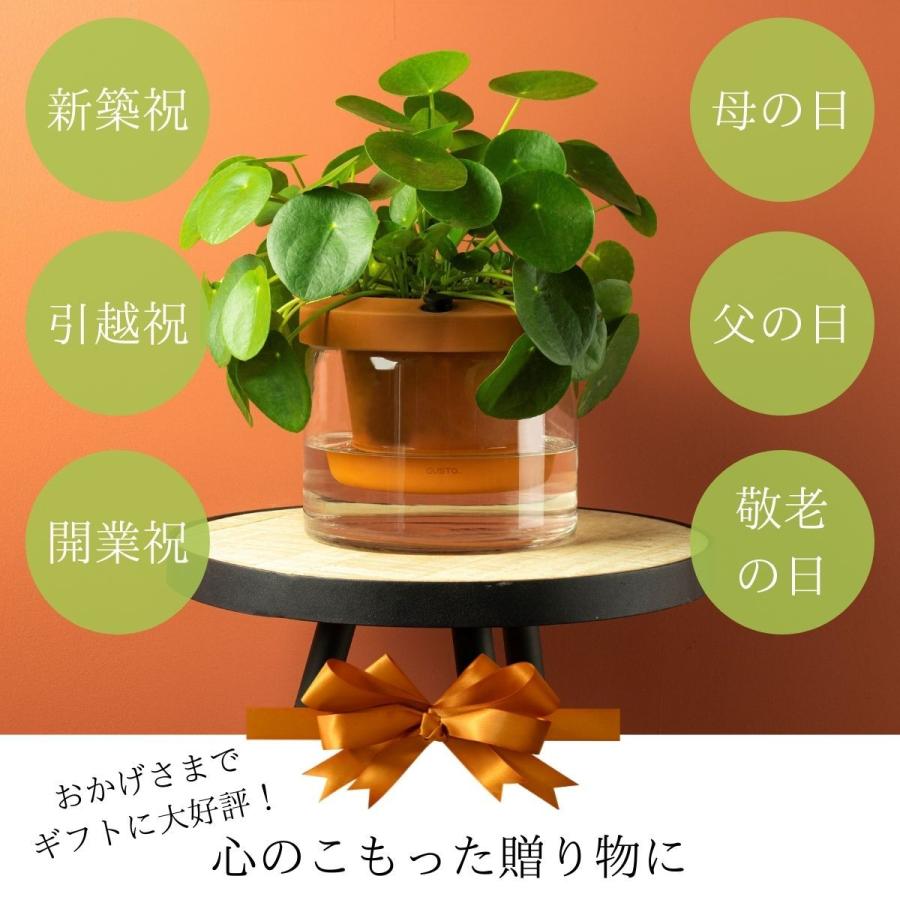 植木鉢 プランター自動給水 おしゃれ 観葉植物 欧州 ブランド GUSTA