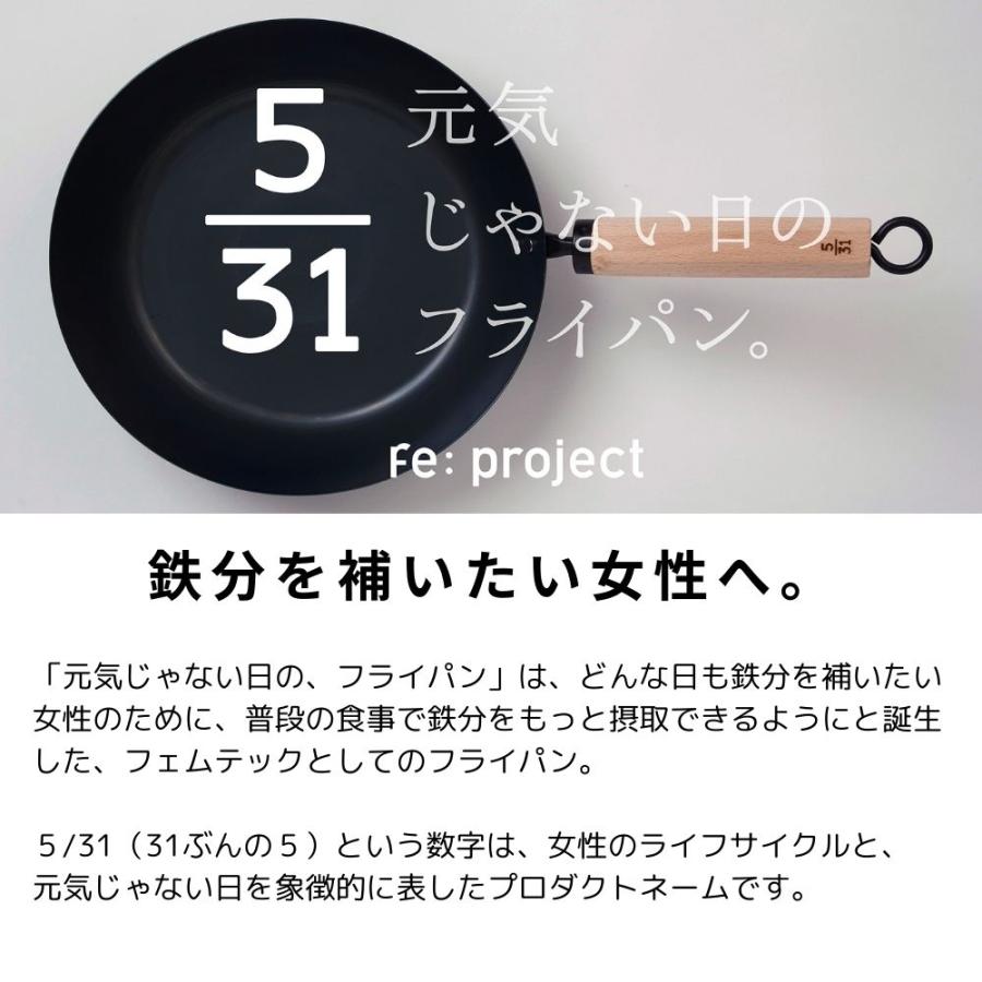 FUJITA KINZOKU 元気じゃない日のフライパン 鉄 フライパン 日本製 ih