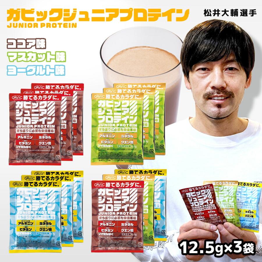 訳アリ）（賞味期限間近2024年11月30日）（ネコポス配送）ガビック 