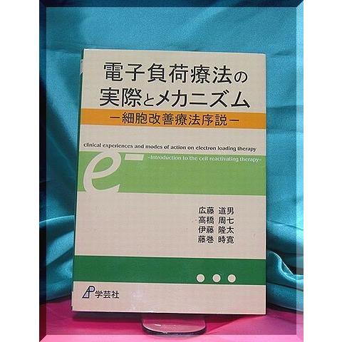 「電子負荷療法の実際とメカニズム」
