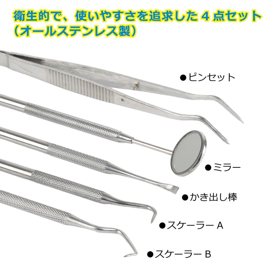歯石取り 歯石除去 歯石とり器具 歯石 自分で取る 歯石とり スケーラー