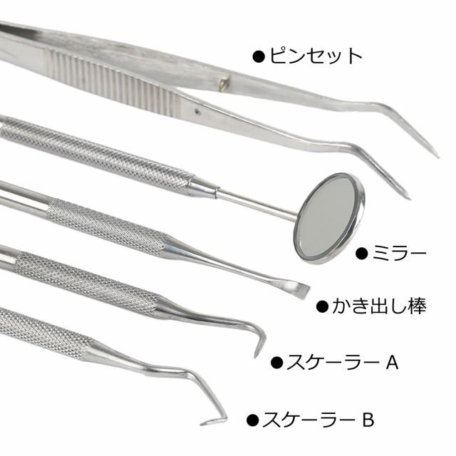 歯石取り 歯石除去 歯石とり器具 歯石 自分で取る 歯石とり スケーラー 歯 ヤニ取り 歯周ポケットクリーナー 歯周病 口臭 予防 デンタルケア 4本セット｜zaccaman3｜03