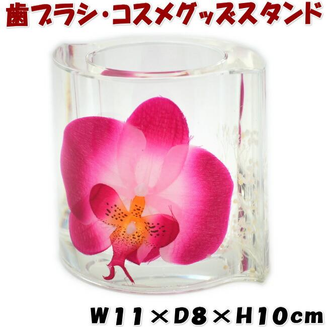 フリースタンド ピンクオーキッド 胡蝶蘭 アクリル 水中花洗面 歯ブラシ立て メイクグッズ ラン 欄 コスメ サニタリー 小物入れ キッチン おしゃれ 綺麗 花 クリ ザッカリア 通販 Yahoo ショッピング