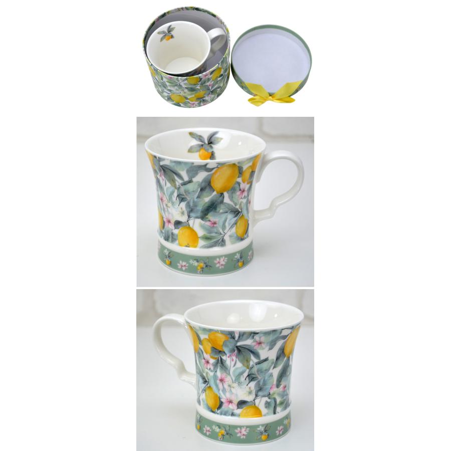 マグカップ レモン柄 ロイヤルアーデン ギフトBOX入りマグカップ