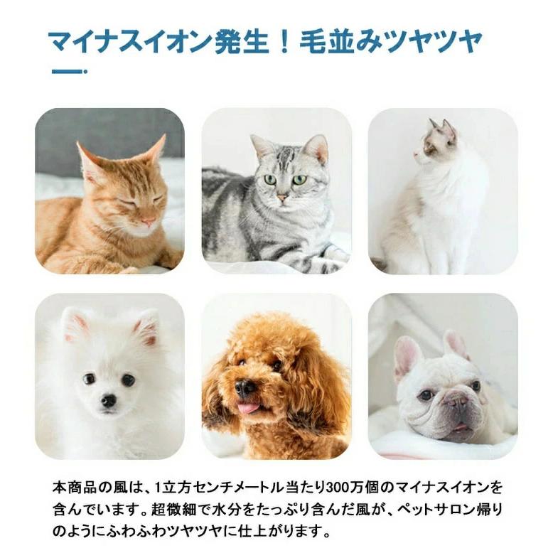 スーパーセール 猫用ドライヤーハウス ペット用ドライヤー 自動ペット