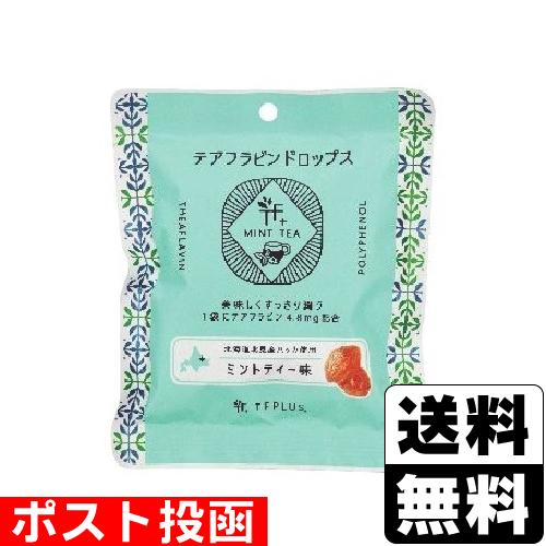 横山食品 (ポスト投函)テアフラビンドロップス ミントティー味