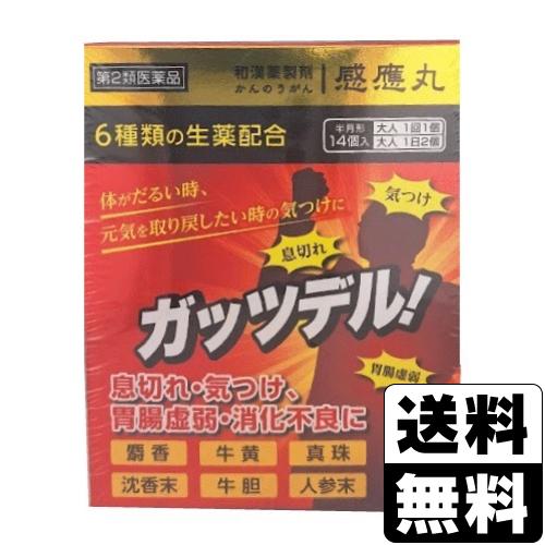 第2類医薬品)正野 萬病感應丸 ガッツデル 14包入 : ザグザグ通販