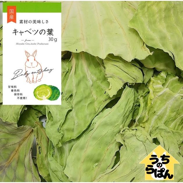 うちのらぱん 国産 キャベツ 30ｇ うさぎ 小動物用 おやつ うちのらぱん 通販 Yahoo ショッピング