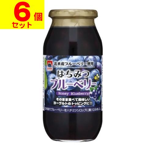 サクラ印 はちみつブルーベリー 650g(6個セット) : ザグザグ通販
