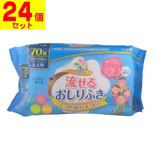 大一紙工 大人用 流せるおしりふき 70枚入(1ケース(24個入