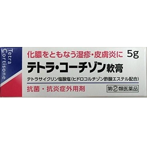 (第(2)類医薬品)(伊丹製薬)テトラコーチゾン軟膏 5g｜zagzag