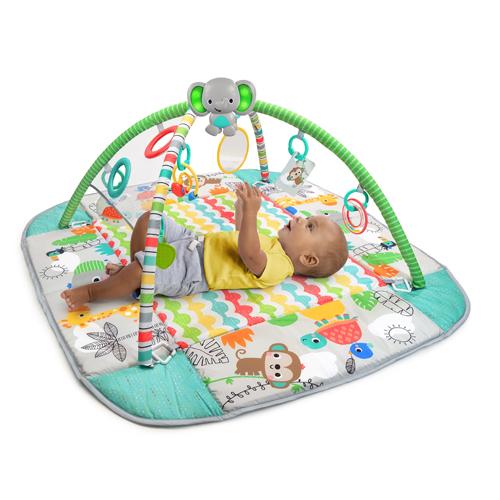 Bright Starts(ブライトスターツ) 5in1 ヨアウェイボールプレイジム