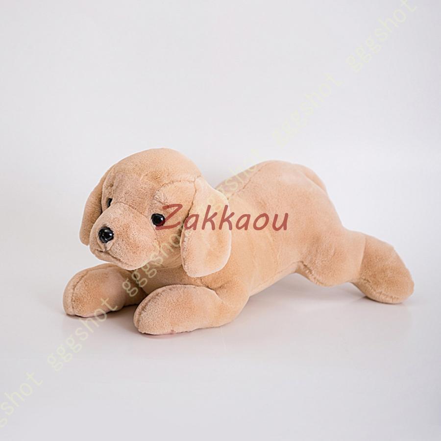 ニンテンドックス　犬　ゴールデンレトリバー　当時物　ぬいぐるみ ≪2月の新商品≫ほっこりゴールデンレトリバー金太郎☆アミューズ