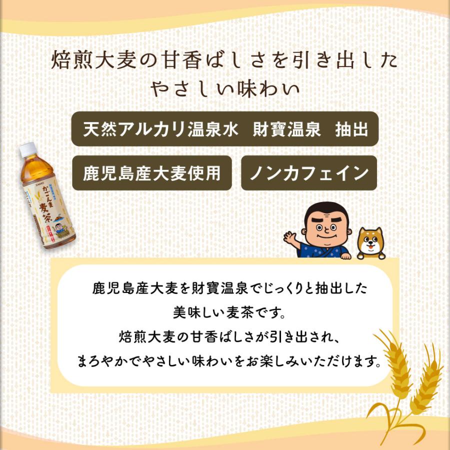 (ポイント2倍) 麦茶 ペットボトル 500ml 24本 ノンカフェイン 財宝 かごんま麦茶 鹿児島県産 大麦 爆買 | 財宝 | 02