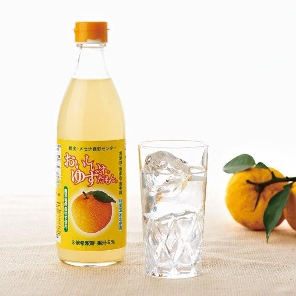 ゆずページ 財宝 (ポイント2倍) ゆず ジュース 希釈タイプ 500ml×6本 鹿児島