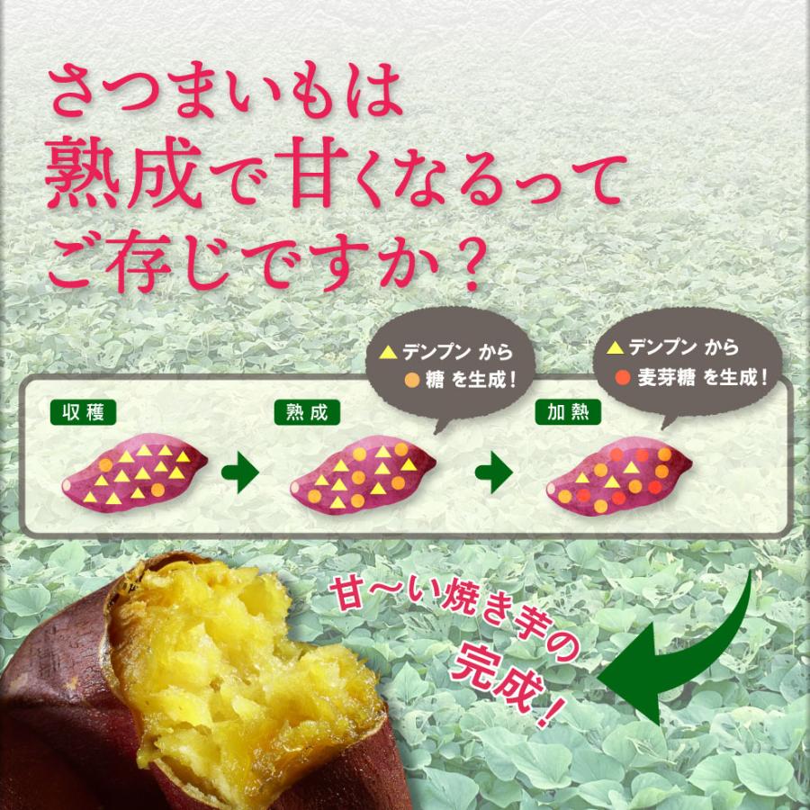 焼き芋 冷凍 さつまいも 紅はるか 3kg 蜜焼き芋 500g×6袋 冷やし サツマイモ 財宝 爆買 | 財宝 | 10