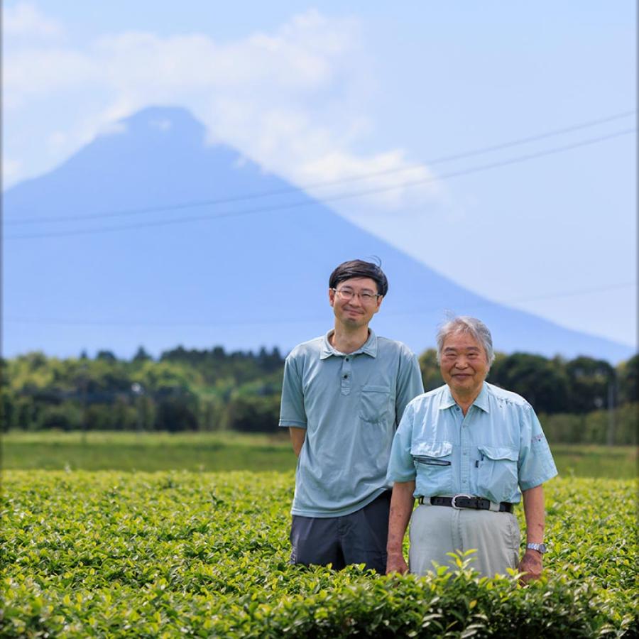 お茶 緑茶 ペットボトル ミニ かごんま緑茶 280ml 48本 ミニサイズ 2箱 小さい おちゃ 財宝 爆買 | 財宝 | 07