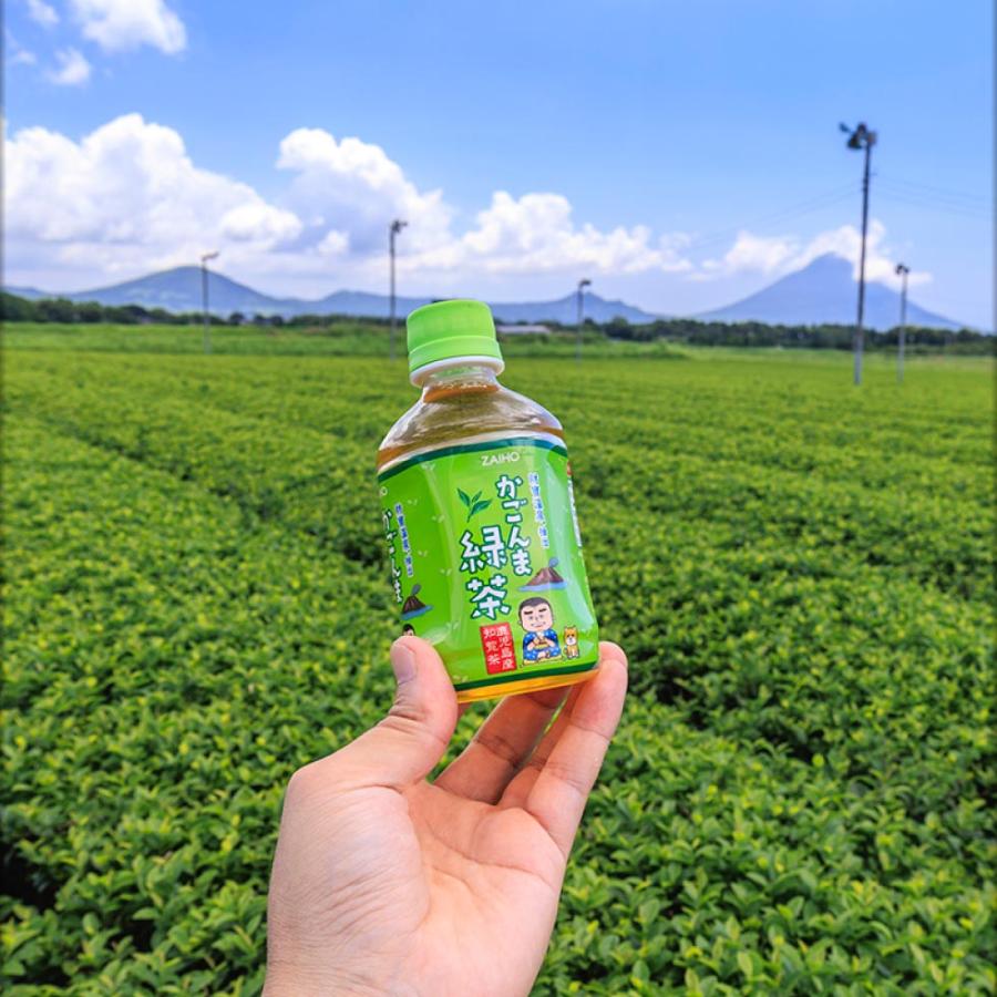 お茶 緑茶 ペットボトル ミニ かごんま緑茶 280ml 48本 ミニサイズ 2箱 小さい おちゃ 財宝 爆買 | 財宝 | 09