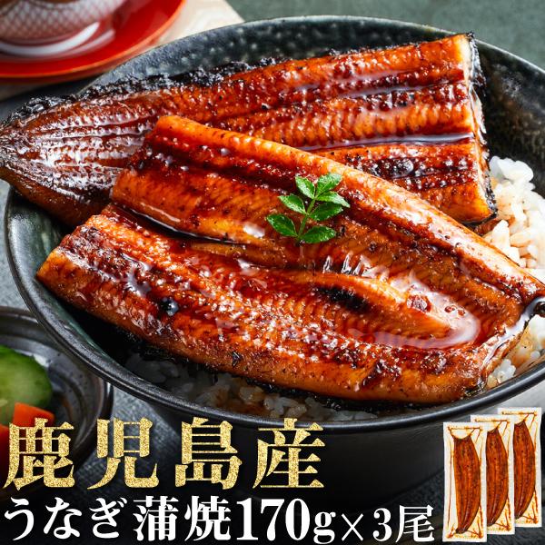 財宝 お中元 うなぎ 国産 ギフト 鰻 蒲焼き 鹿児島 170g 3尾 たれ 山椒