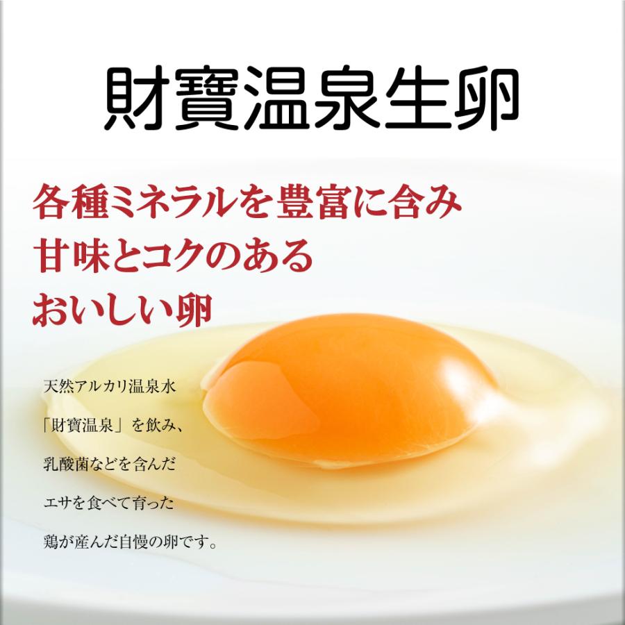 財寶温泉生卵 40個 (10個 4パック) 鹿児島県産 鶏卵 たまご 玉子 濃厚 卵黄｜zaihou｜02