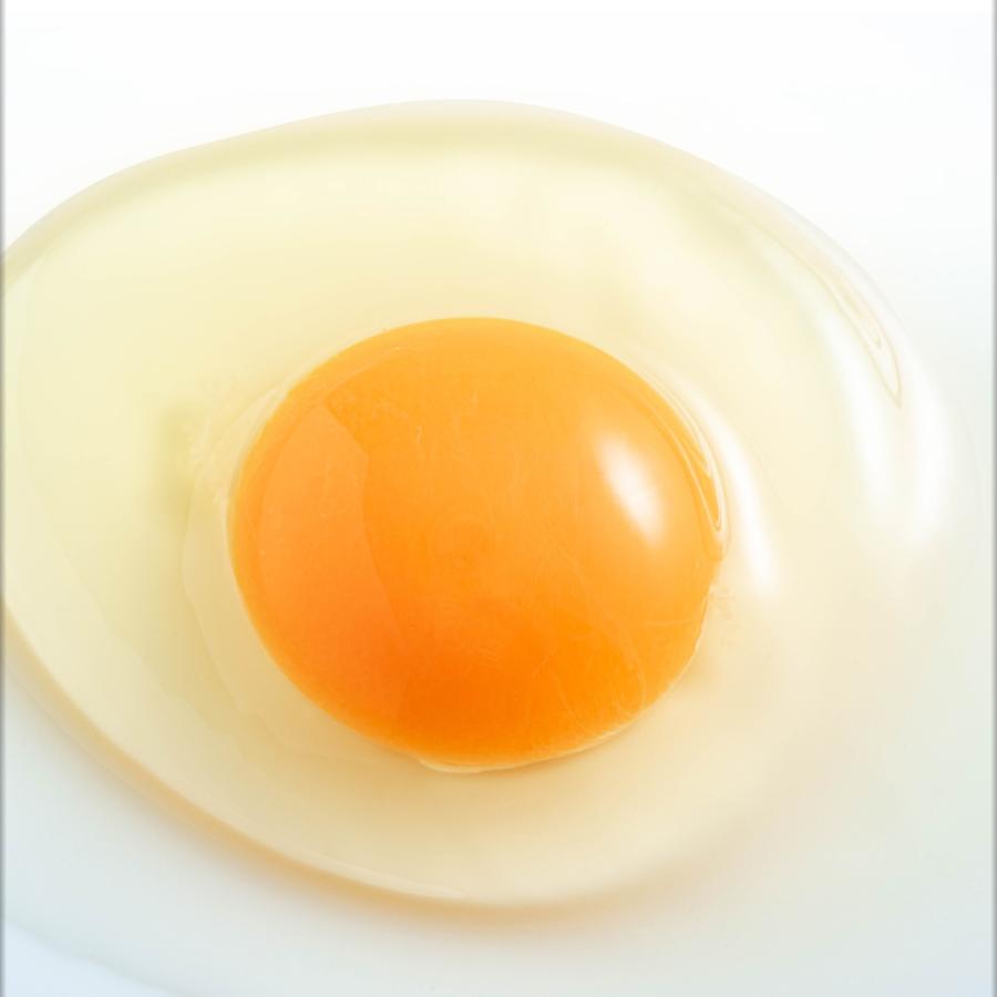 財寶温泉生卵 20個 (10個 2パック) 鹿児島県産 鶏卵 たまご 玉子 濃厚 卵黄｜zaihou｜06