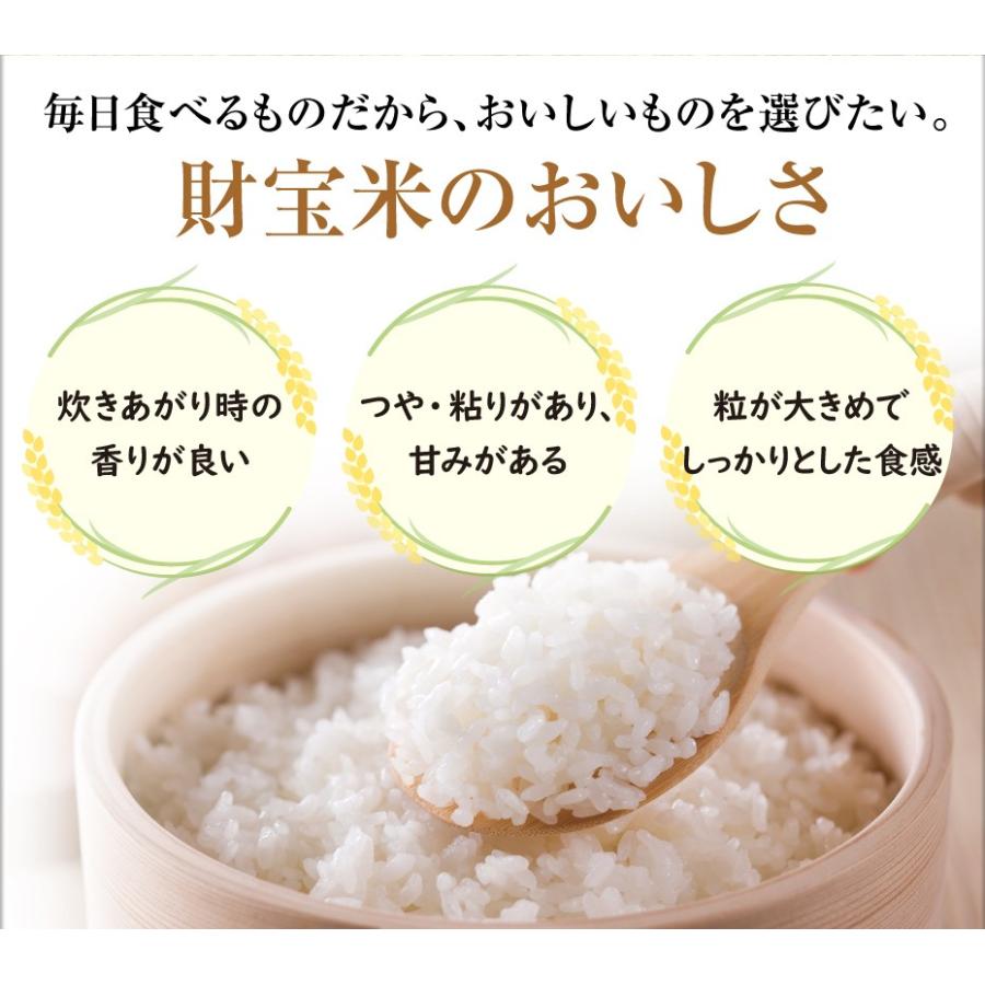 財宝 米 白米 鹿児島産 あきほなみ 財宝米 5kg 令和7年産 お米 : 財宝