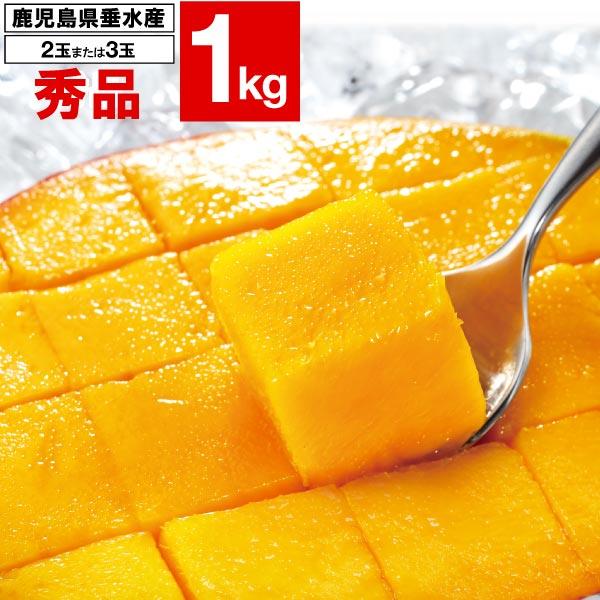 財宝 マンゴー 温泉マンゴー 鹿児島県 垂水産 1kg 1箱 2〜3玉入 化粧箱