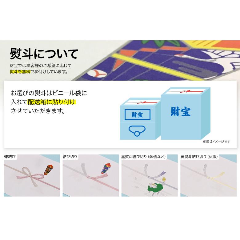 (最短当日出荷) 財寶温泉 水 ミネラルウォーター ホワイトデザイン 500ml 40本 送料無料 財宝 温泉水 みず シリカ水 天然水 ペットボトル 24本 以上 48本 未満｜zaihou｜06