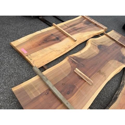 4-1258【2枚まとめ売り】野ミマン）350年生 天杉 銘木 杉スギ 椙