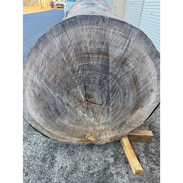 5-228 材ショ）銘木 欅けやき ケヤキ 超巨大 丸太 原木 末口930前後