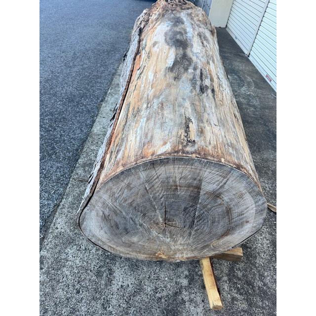 5-228 材ショ）銘木 欅けやき ケヤキ 超巨大 丸太 原木 末口930前後