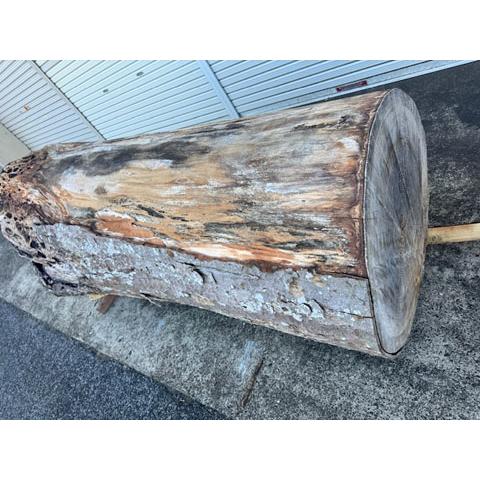 5-228 材ショ）銘木 欅けやき ケヤキ 超巨大 丸太 原木 末口930前後